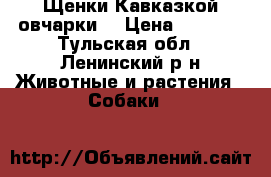 Щенки Кавказкой овчарки  › Цена ­ 1 000 - Тульская обл., Ленинский р-н Животные и растения » Собаки   